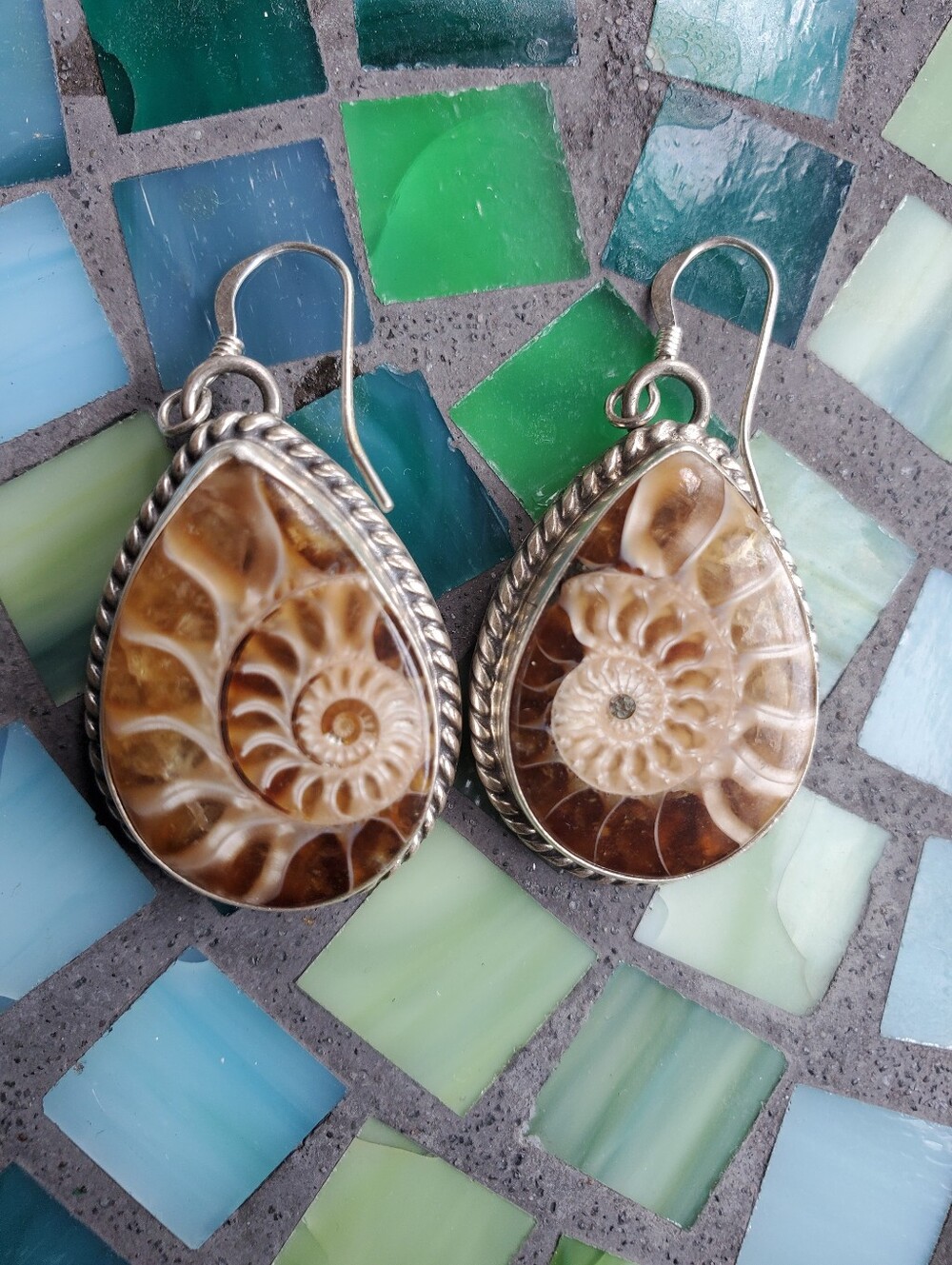 Ammonite Earrings - Navajo Silver